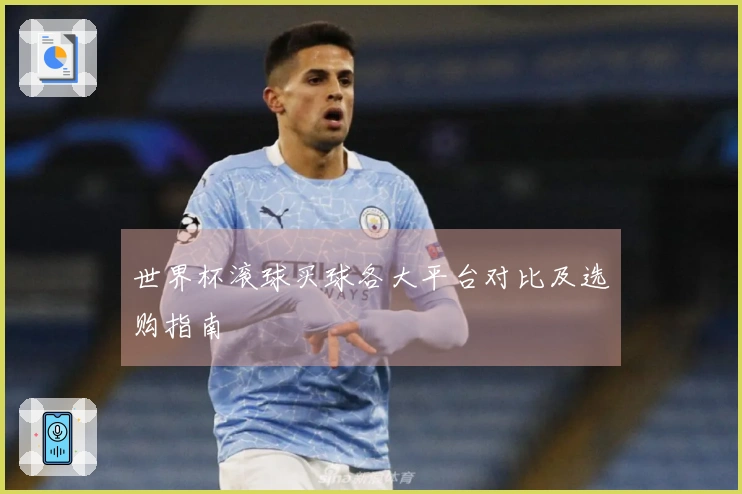 世界杯滚球买球各大平台对比及选购指南
