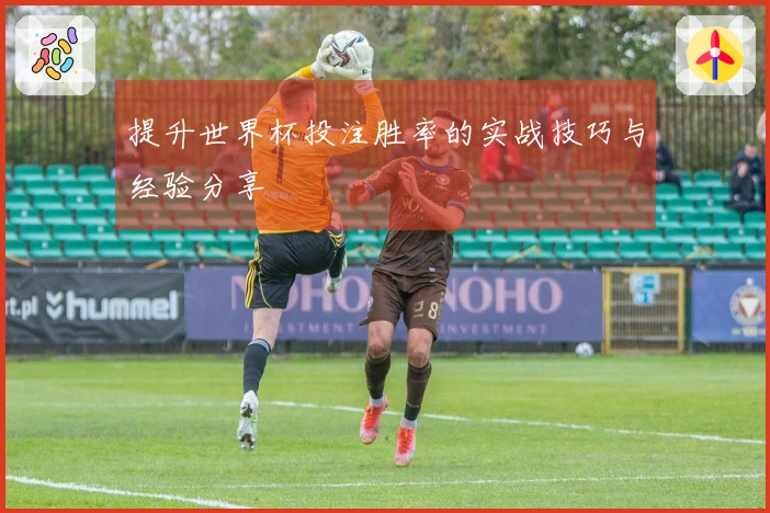提升世界杯投注胜率的实战技巧与经验分享