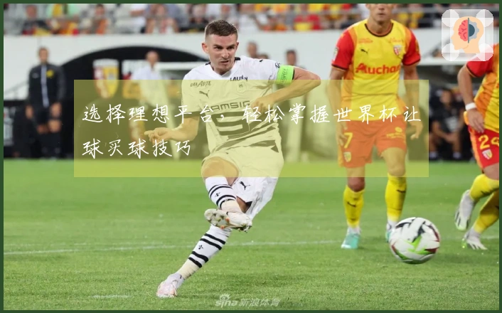 选择理想平台，轻松掌握世界杯让球买球技巧