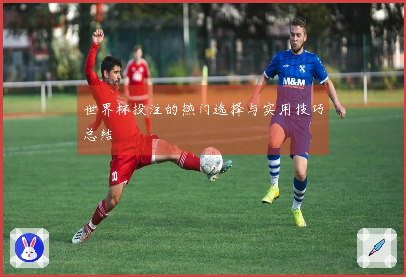 世界杯投注的热门选择与实用技巧总结