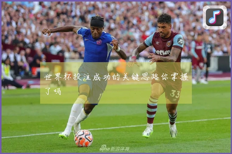 世界杯投注成功的关键思路你掌握了吗