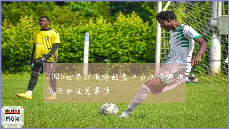 2026世界杯滚球的盘口分析有哪些技巧和注意事项