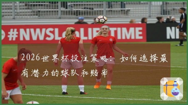 2026世界杯投注策略：如何选择最有潜力的球队和赔率