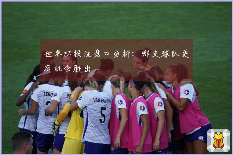 世界杯投注盘口分析：哪支球队更有机会胜出