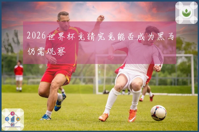 2026世界杯竞猜究竟能否成为黑马仍需观察