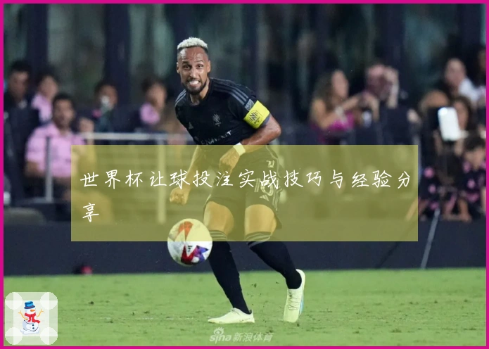 世界杯让球投注实战技巧与经验分享