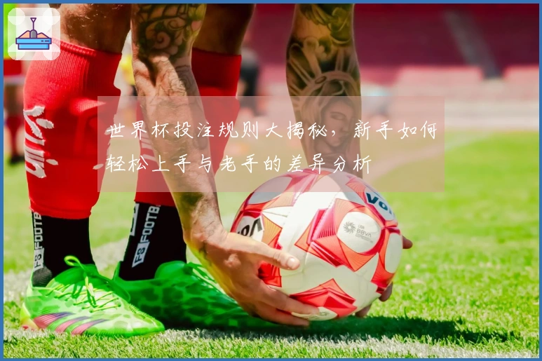 世界杯投注规则大揭秘，新手如何轻松上手与老手的差异分析