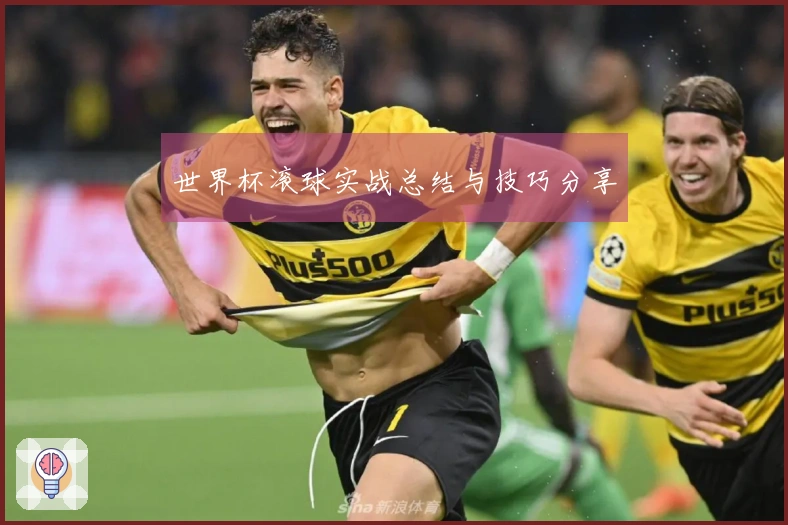 世界杯滚球实战总结与技巧分享
