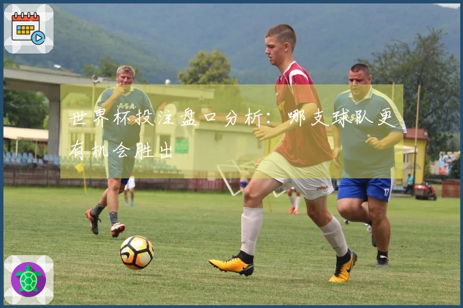 世界杯投注盘口分析：哪支球队更有机会胜出