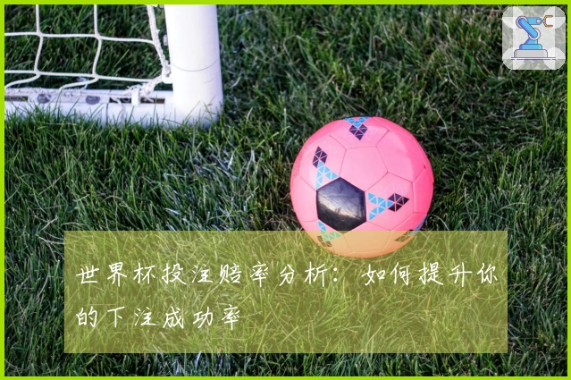世界杯投注赔率分析：如何提升你的下注成功率