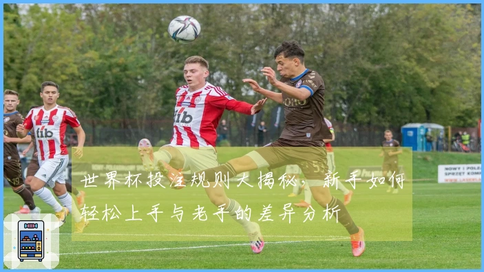世界杯投注规则大揭秘，新手如何轻松上手与老手的差异分析