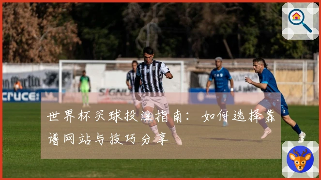 世界杯买球投注指南：如何选择靠谱网站与技巧分享